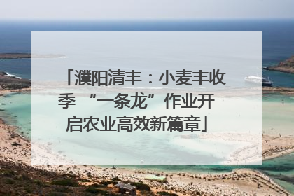 濮阳清丰：小麦丰收季 “一条龙”作业开启农业高效新篇章