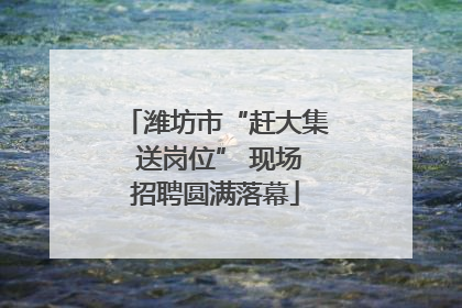 潍坊市“赶大集 送岗位” 现场招聘圆满落幕