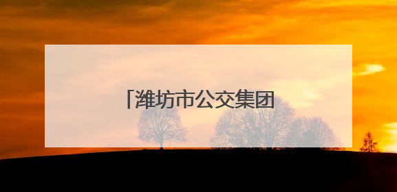 潍坊市公交集团智慧出行惠民生 便民服务暖人心