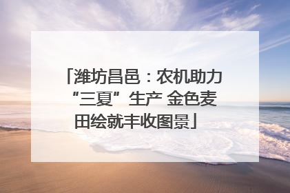 潍坊昌邑：农机助力“三夏”生产 金色麦田绘就丰收图景