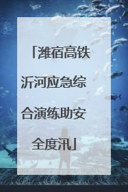 潍宿高铁沂河应急综合演练助安全度汛