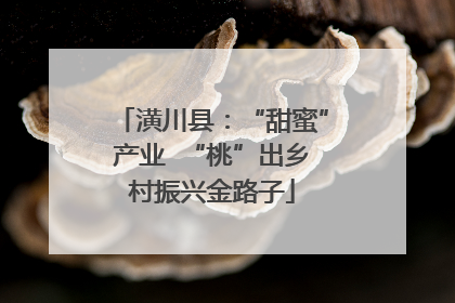 潢川县：“甜蜜”产业  “桃”出乡村振兴金路子