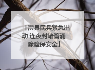 澧县民兵紧急出动 连夜封堵管涌除险保安全