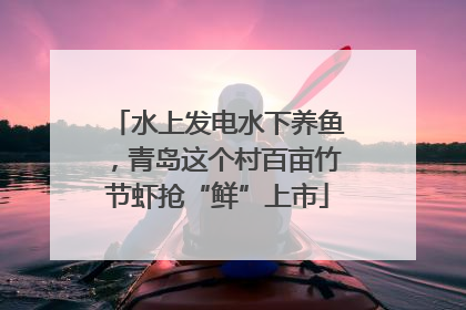 水上发电水下养鱼，青岛这个村百亩竹节虾抢“鲜”上市