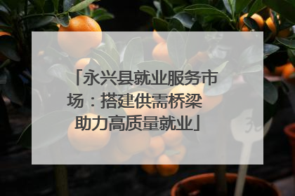 永兴县就业服务市场：搭建供需桥梁 助力高质量就业