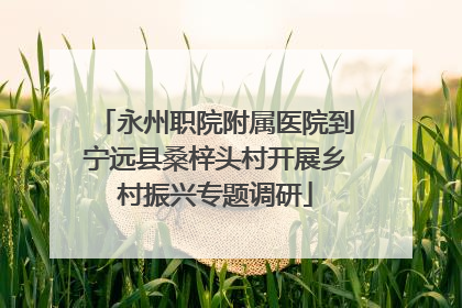 永州职院附属医院到宁远县桑梓头村开展乡村振兴专题调研