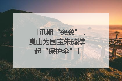 汛期“突袭”，崀山为国宝朱鹮撑起“保护伞”