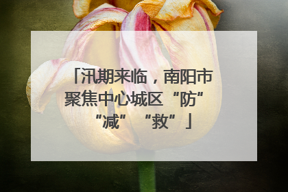 汛期来临，南阳市聚焦中心城区“防”“减”“救”