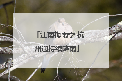 江南梅雨季 杭州迎持续降雨
