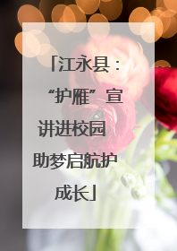 江永县：“护雁”宣讲进校园 助梦启航护成长