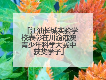 江油长城实验学校表彰在川渝港澳青少年科学大赛中获奖学子