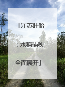 江苏盱眙：水稻插秧全面展开