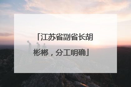 江苏省副省长胡彬郴，分工明确