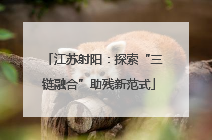 江苏射阳：探索“三链融合”助残新范式