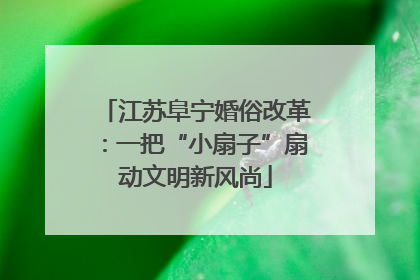 江苏阜宁婚俗改革：一把“小扇子”扇动文明新风尚