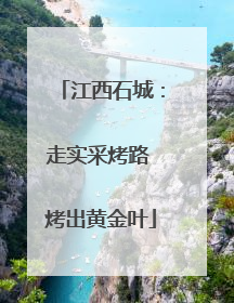 江西石城：走实采烤路 烤出黄金叶