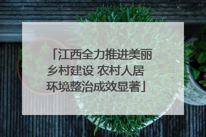 江西全力推进美丽乡村建设 农村人居环境整治成效显著