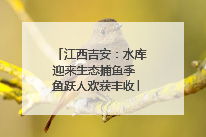 江西吉安：水库迎来生态捕鱼季 鱼跃人欢获丰收