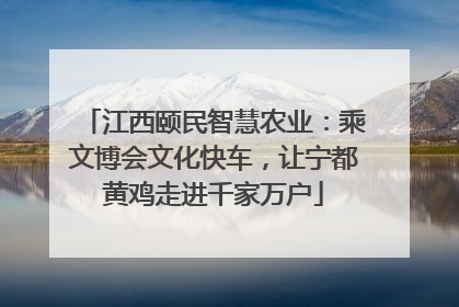江西颐民智慧农业：乘文博会文化快车，让宁都黄鸡走进千家万户