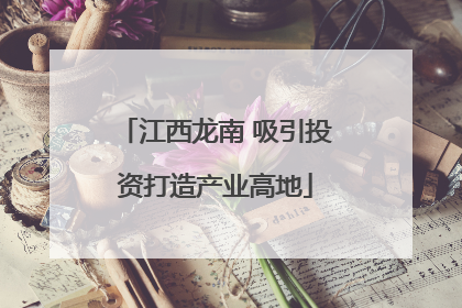 江西龙南 吸引投资打造产业高地
