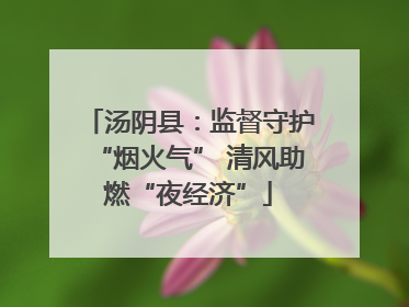 汤阴县：监督守护“烟火气” 清风助燃“夜经济”