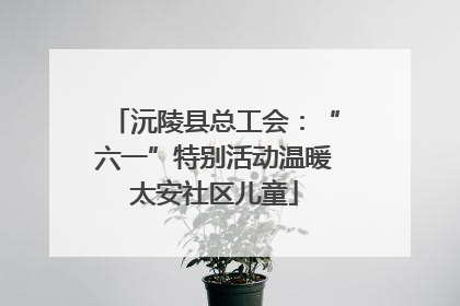 沅陵县总工会：“六一”特别活动温暖太安社区儿童