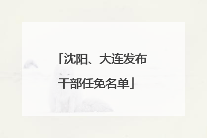 沈阳、大连发布干部任免名单