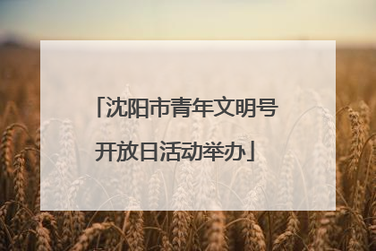 沈阳市青年文明号开放日活动举办