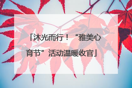 沐光而行！“雅美心育节”活动温暖收官