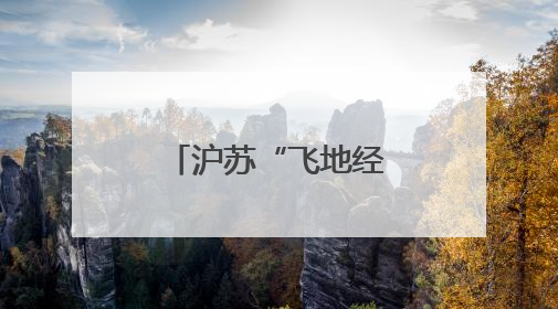 沪苏“飞地经济”合作新模式：以重大项目牵引产业链升级