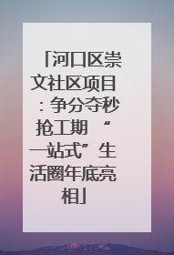 河口区崇文社区项目：争分夺秒抢工期 “一站式”生活圈年底亮相