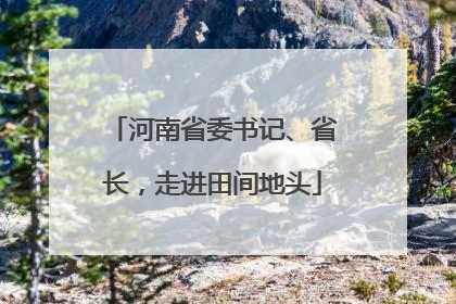 河南省委书记、省长，走进田间地头
