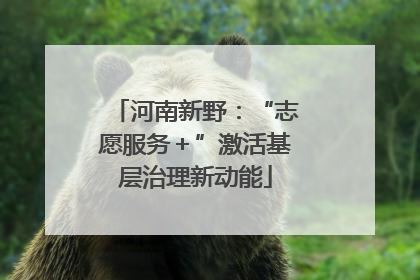 河南新野：“志愿服务＋”激活基层治理新动能