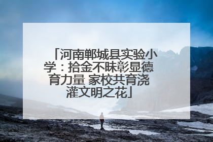 河南郸城县实验小学：拾金不昧彰显德育力量 家校共育浇灌文明之花