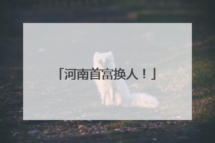 河南首富换人！