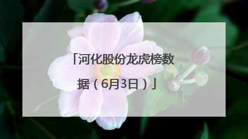河化股份龙虎榜数据（6月3日）