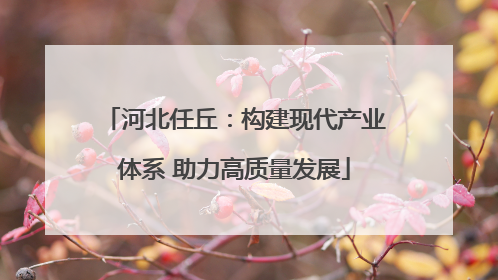 河北任丘：构建现代产业体系 助力高质量发展