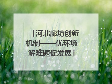 河北廊坊创新机制——优环境解难题促发展