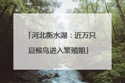 河北衡水湖：近万只夏候鸟进入繁殖期
