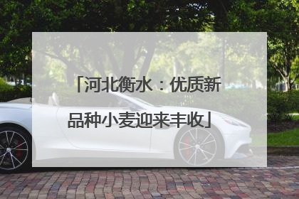 河北衡水：优质新品种小麦迎来丰收