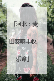 河北：麦田奏响丰收乐章