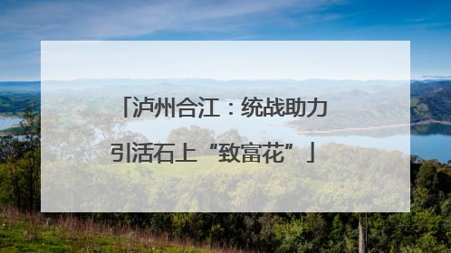 泸州合江：统战助力引活石上“致富花”
