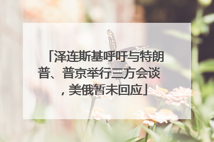 泽连斯基呼吁与特朗普、普京举行三方会谈，美俄暂未回应