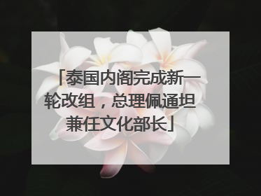 泰国内阁完成新一轮改组，总理佩通坦兼任文化部长