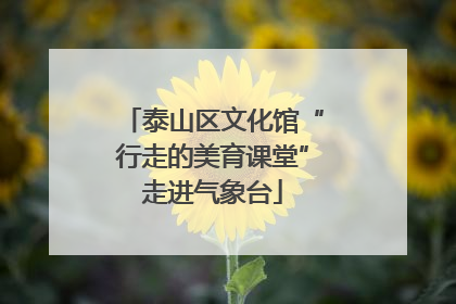 泰山区文化馆“行走的美育课堂”走进气象台