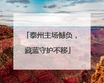 泰州主场憾负，藏蓝守护不移