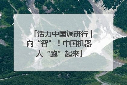 活力中国调研行｜向“智”！中国机器人“跑”起来