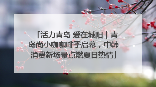 活力青岛 爱在城阳｜青岛尚小咖咖啡季启幕，中韩消费新场景点燃夏日热情
