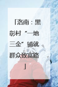 洛南：黑彰村“一地三金”铺就群众致富路