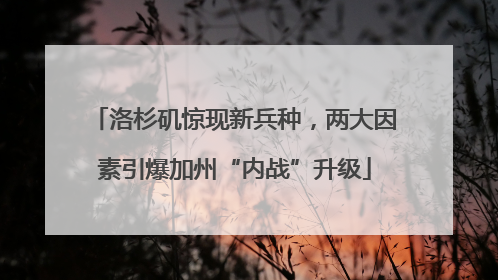 洛杉矶惊现新兵种，两大因素引爆加州“内战”升级